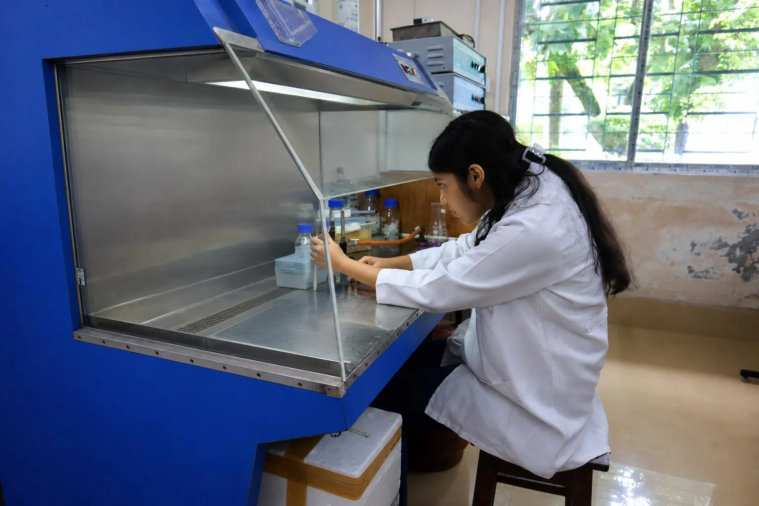 A researcher working inside a laminar flow cabinet in a microbiology laboratory